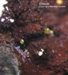 Griechenland Lavrion Mineralien Barbara Embolit