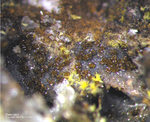 Griechenland Lavrion Mineralien Barbara Descloizit