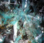 Griechenland Lavrion Mineralien Barbara Aurichalcit