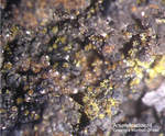 Griechenland Lavrion Mineralien Barbara Arsendescloizit