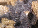Griechenland Lavrion Mineralien Christiana Coronadit