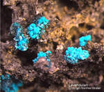 Griechenland Lavrion Mineralien Christiana Lavendulan
