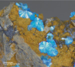 Griechenland Lavrion Mineralien Christiana Lavendulan