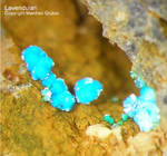 Griechenland Lavrion Mineralien Christiana Lavendulan