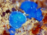 Griechenland Lavrion Mineralien Christiana Lavendulan