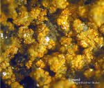Griechenland Lavrion Mineralien Christiana Limonit