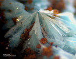 Griechenland Esperenza Mineralien Aurichalcit