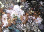 Griechenland Lavrion Mineralien Hilarion Bianchit