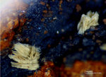 Griechenland Lavrion Mineralien Hilarion Fraipontit