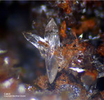Griechenland Mineralien Jean Baptiste Calcit
