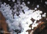 Griechenland Mineralien Lavrion Jean Baptiste Gibbsit