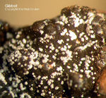 Griechenland Mineralien Lavrion Jean Baptiste Gibbsit