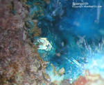 Griechenland Lavrion Mineralien Jean Baptiste Spangolith