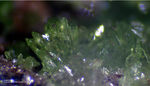 Griechenland Lavrion Mineralien KM3 Austinit
