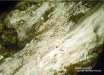 Sauerland Mineralien Ramsbeck Bastenbergit Brianyoungit