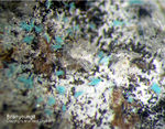 Sauerland Mineralien Ramsbeck Bastenbergit Brianyoungit