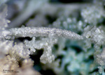 Sauerland Mineralien Ramsbeck Bastenbergit Brianyoungit
