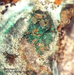 Sauerland Mineralien Ramsbeck Brochantit