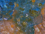 Sauerland Mineralien Ramsbeck Chalkanthit