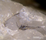 Sauerland Mineralien Ramsbeck Boulangerit