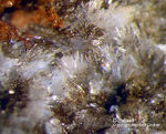 Sauerland Mineralien Ramsbeck Dundasit