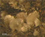 Sauerland Mineralien Ramsbeck Dundasit