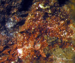 Sauerland Mineralien Ramsbeck Eisenkiesel