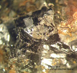 Sauerland Mineralien Ramsbeck Galenit