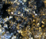 Sauerland Mineralien Ramsbeck Galenit
