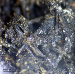 Harz Mineralien Juliushütte Astfeld Akermanit
