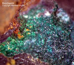 Harz Mineralien Juliushütte Astfeld Brochantit