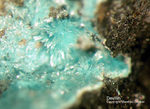 Harz Mineralien Juliushütte Astfeld Devillin