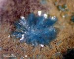 Harz Mineralien Juliushütte Astfeld Devillin