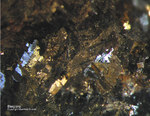 Harz Mineralien Juliushütte Astfeld Galenit