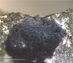 Harz Mineralien Juliushütte Astfeld Goethit