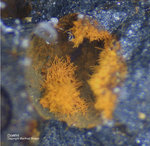 Harz Mineralien Juliushütte Astfeld Goethit