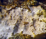 Harz Mineralien Juliushütte Astfeld Hemimorphit