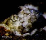 Harz Mineralien Juliushütte Astfeld Hemimorphit