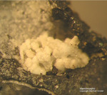 Harz Mineralien Juliushütte Astfeld Hemimorphit