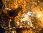 Harz Mineralien Juliushütte Astfeld Laurionit