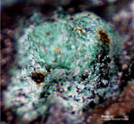 Harz Mineralien Juliushütte Astfeld Malachit