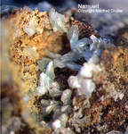 Harz Mineralien Juliushütte Astfeld Namuwit