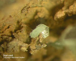Harz Mineralien Juliushütte Astfeld Namuwit