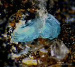 Harz Mineralien Juliushütte Astfeld Namuwit