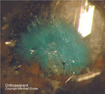 Harz Mineralien Juliushütte Astfeld Orthoserpierit