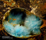 Harz Mineralien Juliushütte Astfeld Orthoserpierit