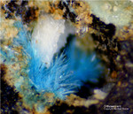 Harz Mineralien Juliushütte Astfeld Orthoserpierit