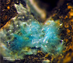 Harz Mineralien Juliushütte Astfeld Serpierit