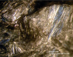 Österreich Mineralien Söllnkar Aktinolith