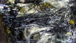 Österreich Mineralien Söllnkar Aktinolith